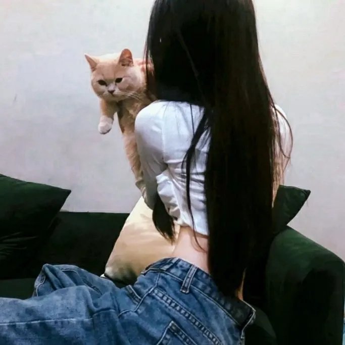 狄公灭鼠