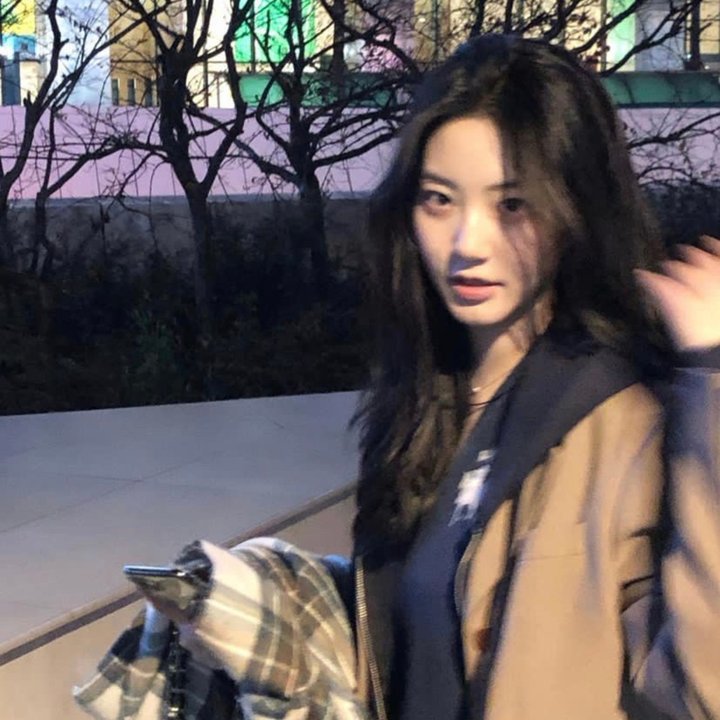 狗岛的宝藏